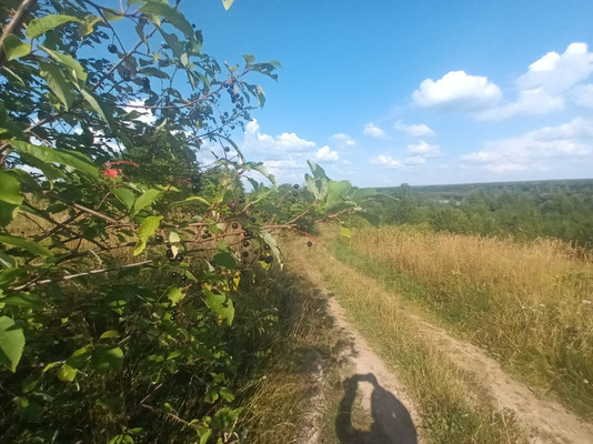 Купить  участок